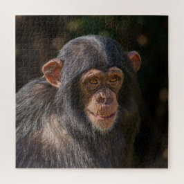 Speelse Ziel – Baby Chimpansee Close-Up Legpuzzel