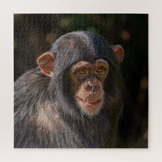 Speelse Ziel – Baby Chimpansee Close-Up Legpuzzel (Verticaal)