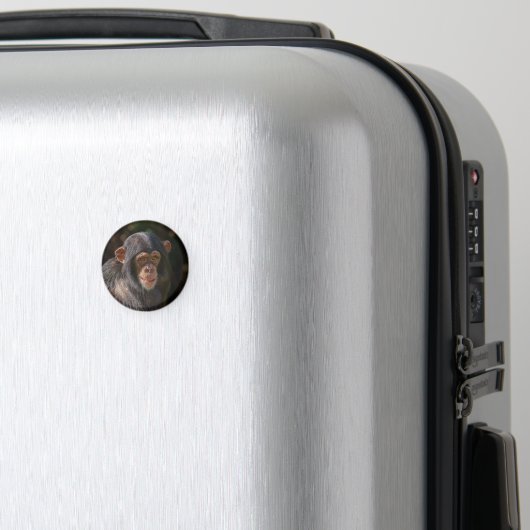 Speelse Ziel – Baby Chimpansee Close-Up Magneet (Insitu (bagage))