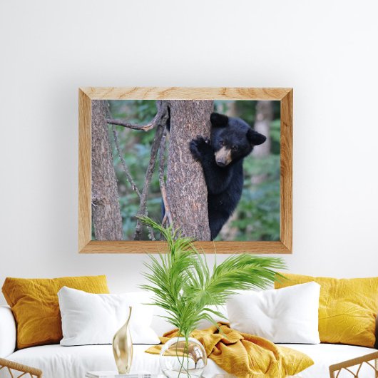 Speelse zwarte berenwelp in boom foto poster
