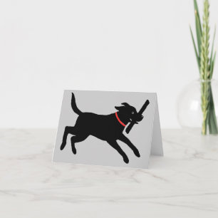 Speelse Zwarte Labrador Retriever Mooie Zwarte H Kaart