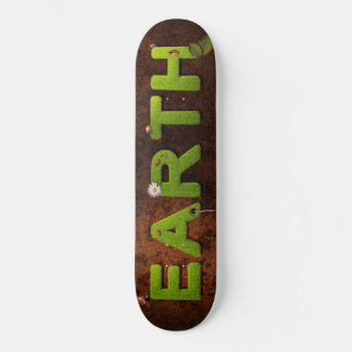 Speeltuin Skateboarder Groene Aarde Ladybird Grass Persoonlijk Skateboard