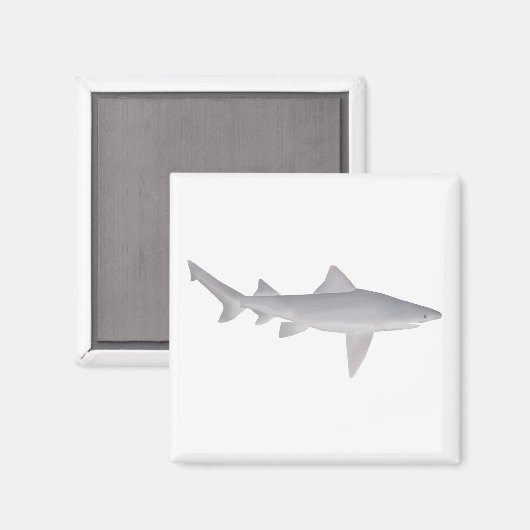 speertandhaai magneet (Voorkant / Achterkant)