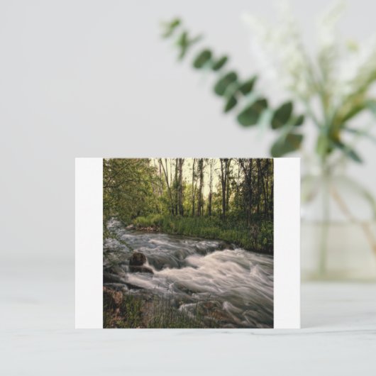 Speerviskreeft SD Briefkaart (Staand voorkant)