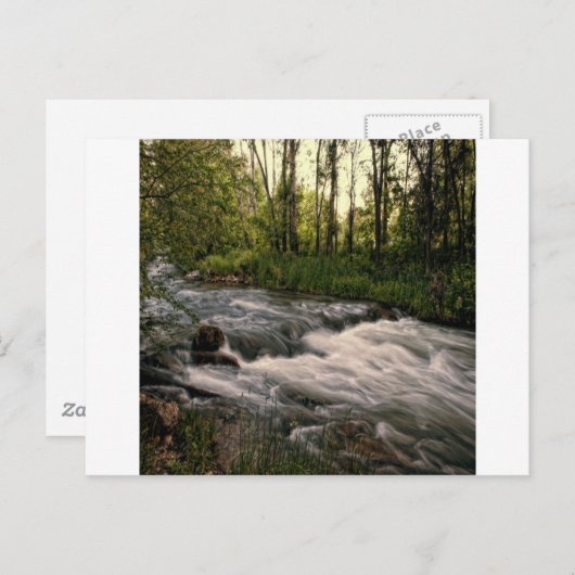 Speerviskreeft SD Briefkaart (Voorkant / Achterkant)