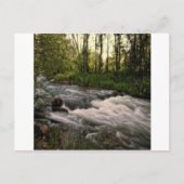 Speerviskreeft SD Briefkaart (Voorkant)