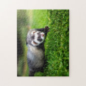 Speful Ferret Close (Sluiten), Jigzaag Puzzle Legpuzzel (Verticaal)