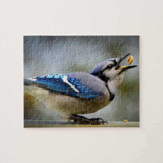 Spel Puzzel Blauwe Gaai (Horizontaal)