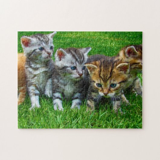 Spel Puzzel-Kittens Legpuzzel (Horizontaal)