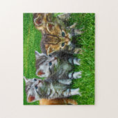 Spel Puzzel-Kittens Legpuzzel (Verticaal)