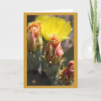 Spel van Doornen Kaart