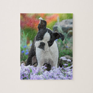 Spel van het Puppy van de Hond van Boston Terrier Legpuzzel