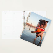 Spelbak op strand afspelen planner (Display)