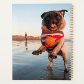 Spelbak op strand afspelen planner (Achterkant)