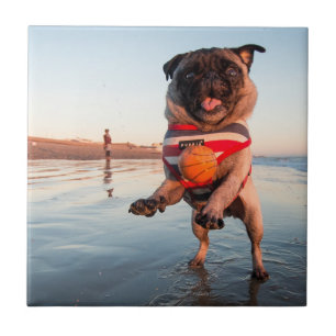 Spelbak op strand afspelen tegeltje