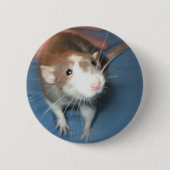 SPELD/BUTTON MET ROTSPELD RONDE BUTTON 5,7 CM (Voorkant)