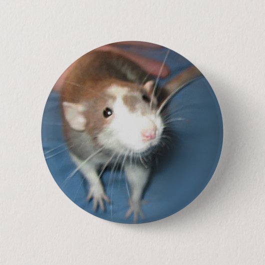 SPELD/BUTTON MET ROTSPELD RONDE BUTTON 5,7 CM (Voorkant)