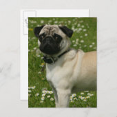 Spelen in bloemen briefkaart (Voorkant / Achterkant)