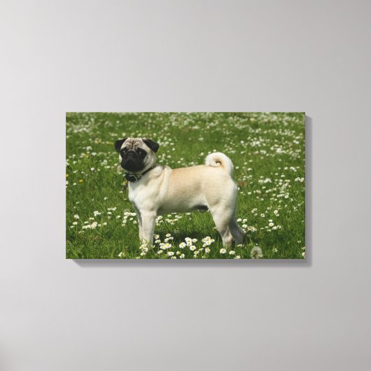 Spelen in bloemen canvas afdruk (Voorkant)