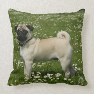 Spelen in bloemen kussen