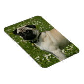 Spelen in bloemen magneet (Rechterzijde)