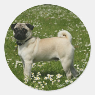 Spelen in bloemen ronde sticker