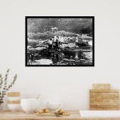 Spelen in Rock Creek Park Washington, DC 1922 Poster (Keuken)