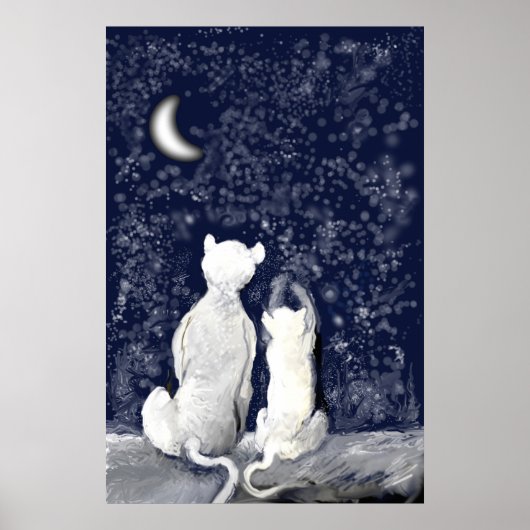 "Spelen met sterren" Poster (Voorkant)