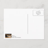 Spelen Onder Het Kleed Dank Je Briefkaart (Achterkant)