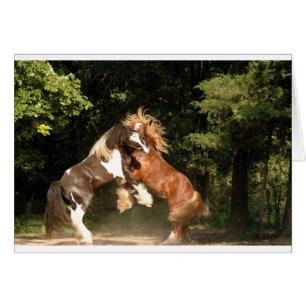 Spelen op zonsondergang