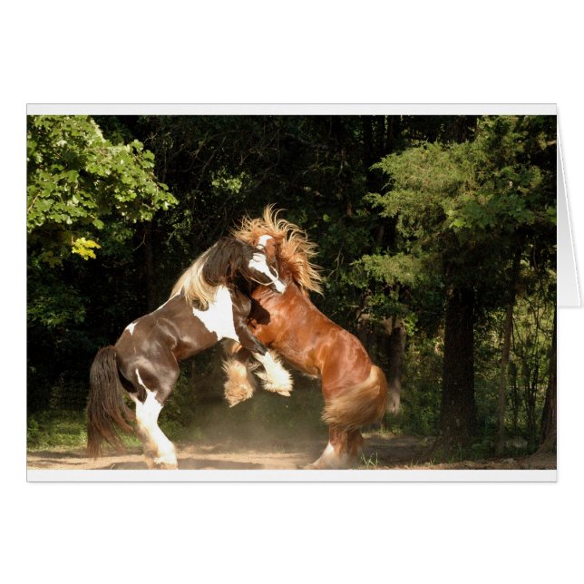 Spelen op zonsondergang (Voorkant Horizontaal)