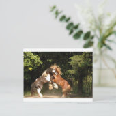 Spelen op zonsondergang briefkaart (Staand voorkant)