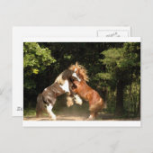 Spelen op zonsondergang briefkaart (Voorkant / Achterkant)