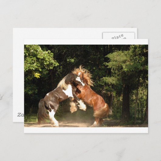 Spelen op zonsondergang briefkaart (Voorkant / Achterkant)