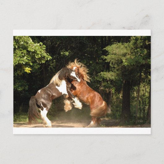 Spelen op zonsondergang briefkaart (Voorkant)