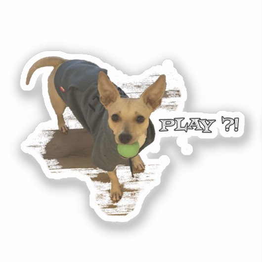 Spelen?! Sticker (Voorkant)