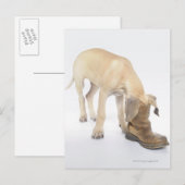 spelen, vriendelijkheid, nieuwsgierigheid briefkaart (Voorkant / Achterkant)