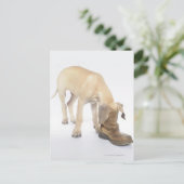 spelen, vriendelijkheid, nieuwsgierigheid briefkaart (Staand voorkant)