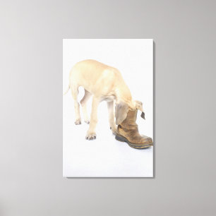 spelen, vriendelijkheid, nieuwsgierigheid canvas afdruk