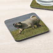 Spelend nabij water bier onderzetter (Linkerzijde)