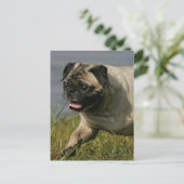 Spelend nabij water briefkaart (Staand voorkant)