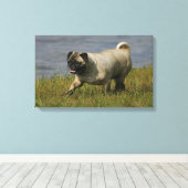 Spelend nabij water canvas afdruk (Insitu (Houten vloer))