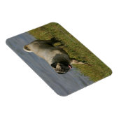 Spelend nabij water magneet (Rechterzijde)