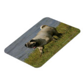 Spelend nabij water magneet (Linkerzijde)