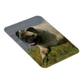 Spelend nabij water magneet (Rechterzijde)