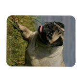 Spelend nabij water magneet (Horizontaal)