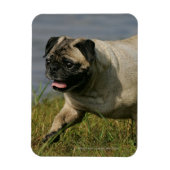 Spelend nabij water magneet (Verticaal)