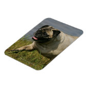 Spelend nabij water magneet (Linkerzijde)