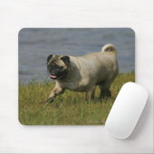 Spelend nabij water muismat (Met muis)