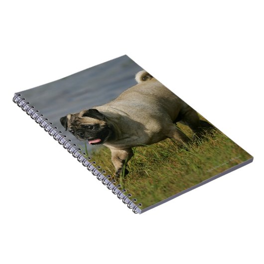 Spelend nabij water notitieboek (Rechterzijde)